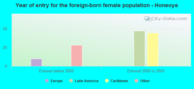 Year of entry for the foreign-born female population - Honeoye