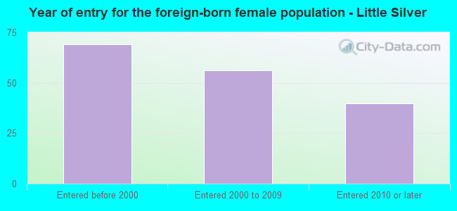 Year of entry for the foreign-born female population - Little Silver