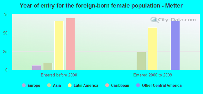 Year of entry for the foreign-born female population - Metter