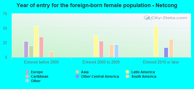 Year of entry for the foreign-born female population - Netcong