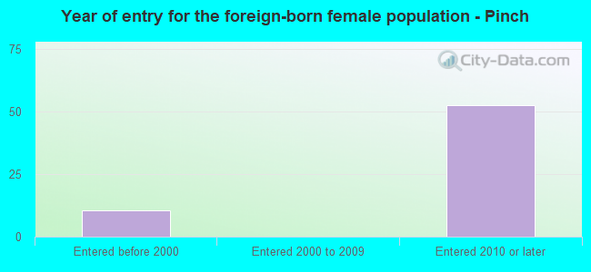 Year of entry for the foreign-born female population - Pinch