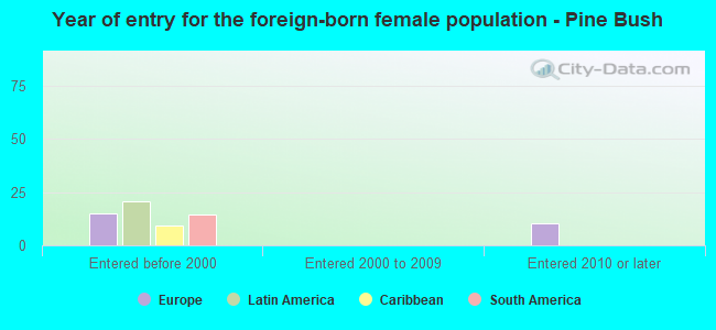 Year of entry for the foreign-born female population - Pine Bush