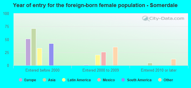 Year of entry for the foreign-born female population - Somerdale