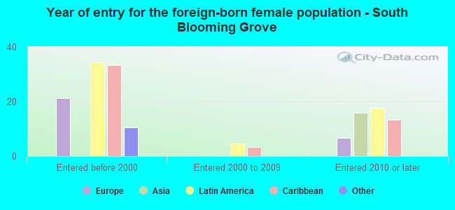 Year of entry for the foreign-born female population - South Blooming Grove