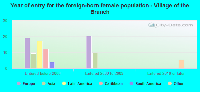 Year of entry for the foreign-born female population - Village of the Branch
