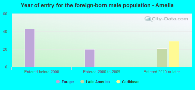 Year of entry for the foreign-born male population - Amelia