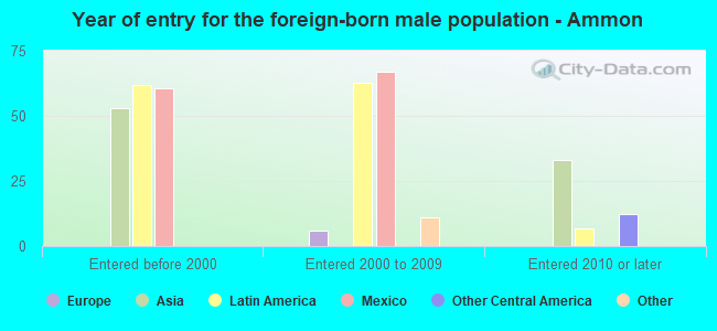 Year of entry for the foreign-born male population - Ammon