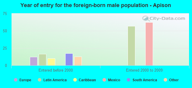 Year of entry for the foreign-born male population - Apison