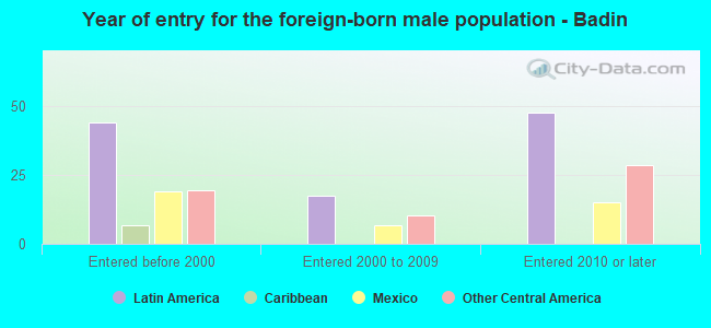 Year of entry for the foreign-born male population - Badin