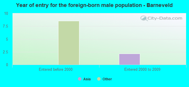 Year of entry for the foreign-born male population - Barneveld