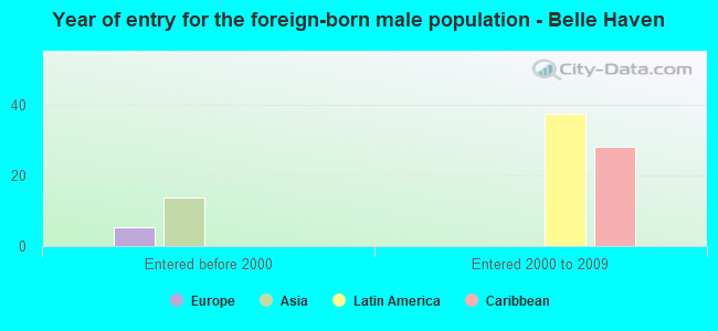 Year of entry for the foreign-born male population - Belle Haven