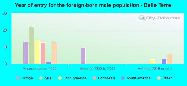 Year of entry for the foreign-born male population - Belle Terre