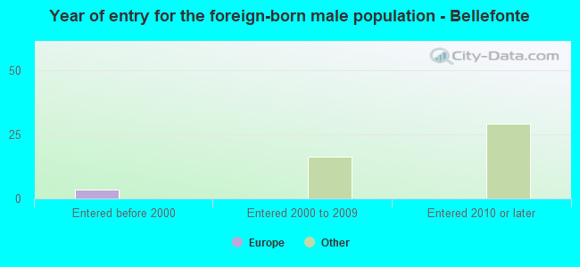 Year of entry for the foreign-born male population - Bellefonte