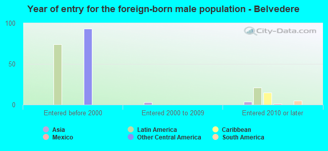 Year of entry for the foreign-born male population - Belvedere