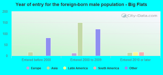 Year of entry for the foreign-born male population - Big Flats