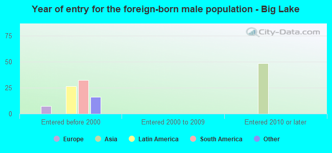 Year of entry for the foreign-born male population - Big Lake