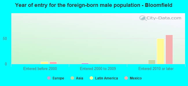Year of entry for the foreign-born male population - Bloomfield