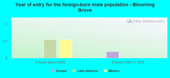 Year of entry for the foreign-born male population - Blooming Grove