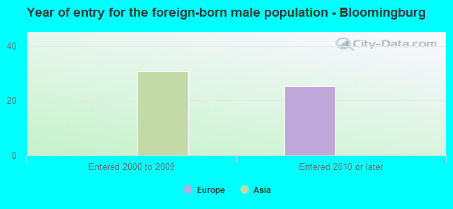 Year of entry for the foreign-born male population - Bloomingburg