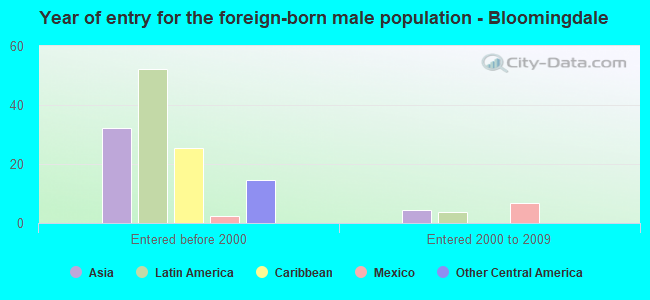 Year of entry for the foreign-born male population - Bloomingdale