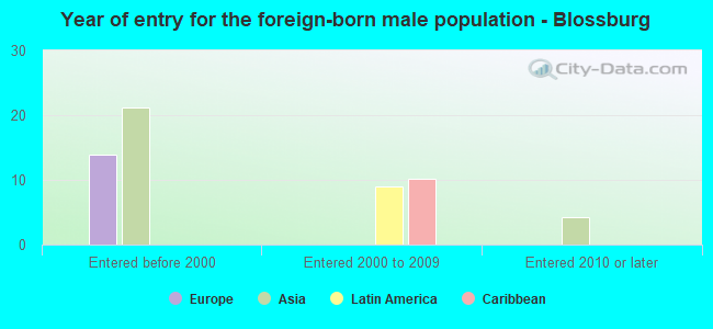 Year of entry for the foreign-born male population - Blossburg