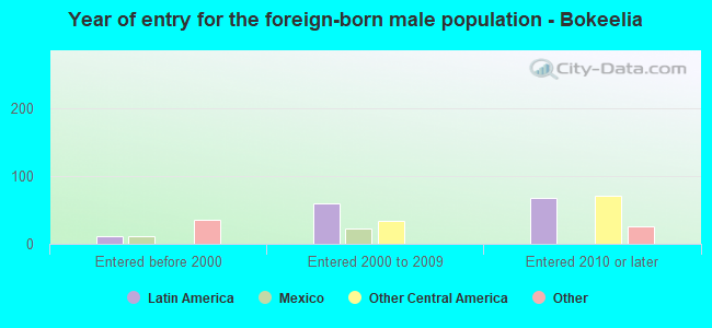 Year of entry for the foreign-born male population - Bokeelia