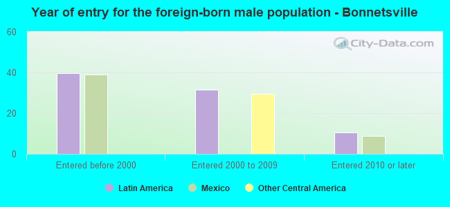 Year of entry for the foreign-born male population - Bonnetsville