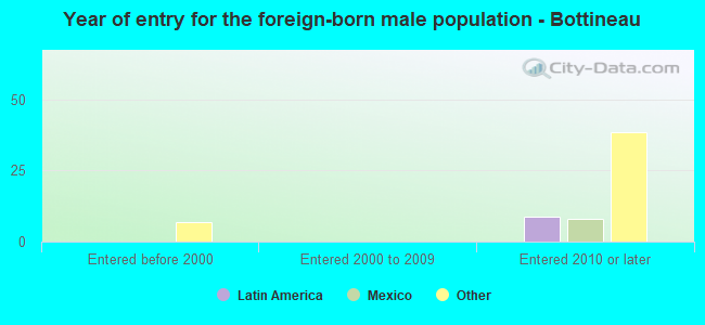 Year of entry for the foreign-born male population - Bottineau