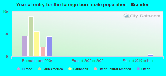 Year of entry for the foreign-born male population - Brandon