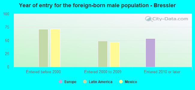 Year of entry for the foreign-born male population - Bressler