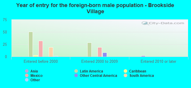 Year of entry for the foreign-born male population - Brookside Village