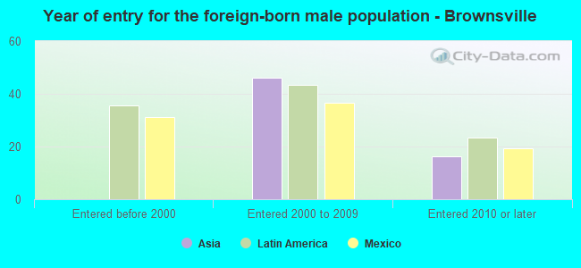 Year of entry for the foreign-born male population - Brownsville