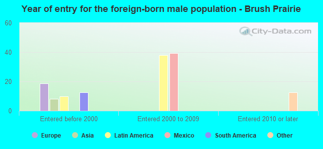 Year of entry for the foreign-born male population - Brush Prairie