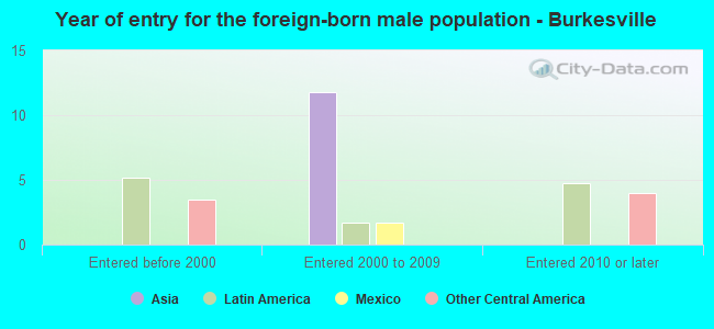 Year of entry for the foreign-born male population - Burkesville