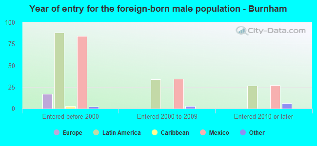 Year of entry for the foreign-born male population - Burnham
