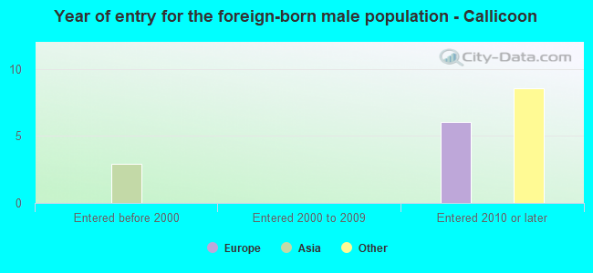 Year of entry for the foreign-born male population - Callicoon