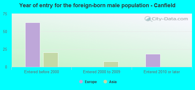 Year of entry for the foreign-born male population - Canfield