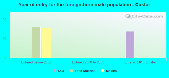 Year of entry for the foreign-born male population - Custer