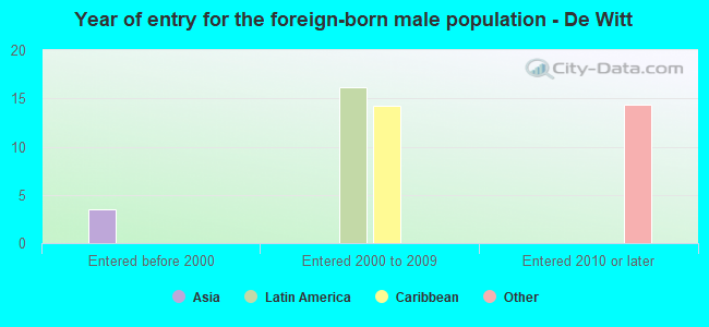 Year of entry for the foreign-born male population - De Witt