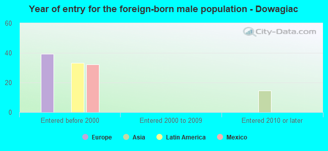 Year of entry for the foreign-born male population - Dowagiac