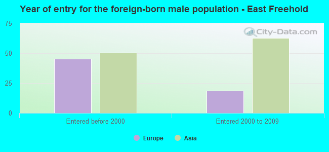 Year of entry for the foreign-born male population - East Freehold