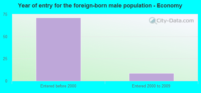 Year of entry for the foreign-born male population - Economy