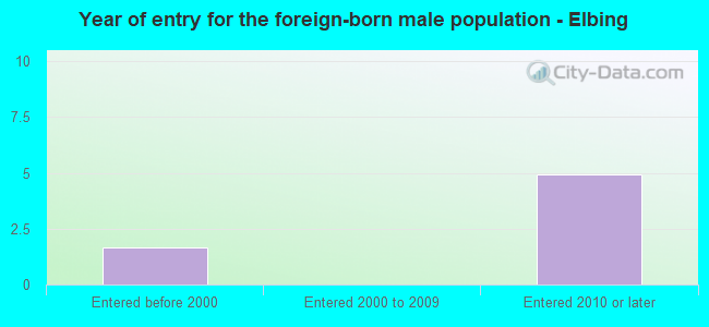 Year of entry for the foreign-born male population - Elbing