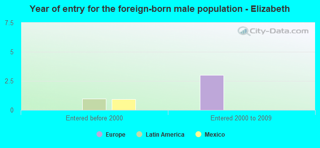 Year of entry for the foreign-born male population - Elizabeth