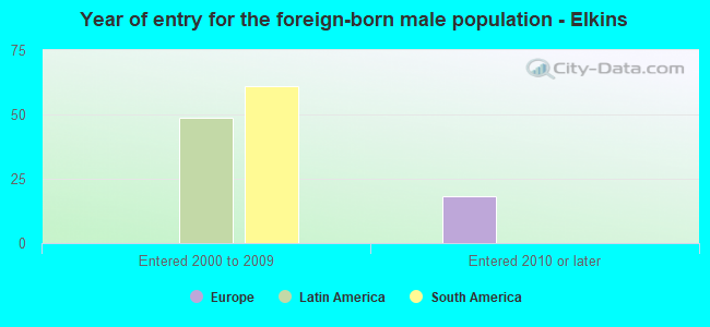 Year of entry for the foreign-born male population - Elkins