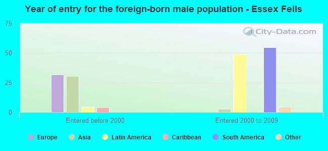 Year of entry for the foreign-born male population - Essex Fells