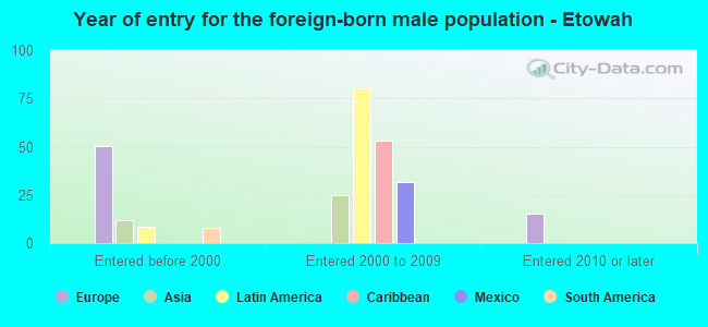 Year of entry for the foreign-born male population - Etowah