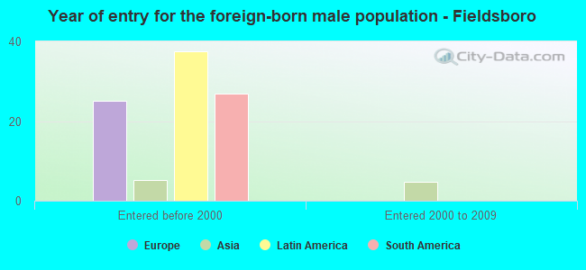 Year of entry for the foreign-born male population - Fieldsboro