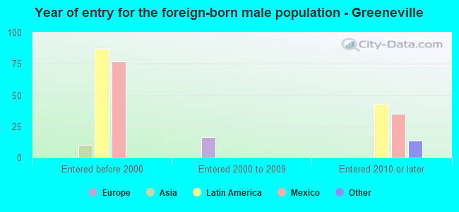 Year of entry for the foreign-born male population - Greeneville