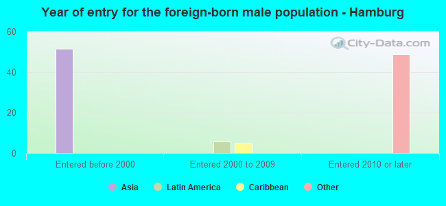 Year of entry for the foreign-born male population - Hamburg